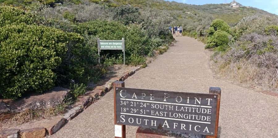 Private Tour: Table Mountain, Penguins Colony & Cape Of Good - Table Mountain: begin above the city