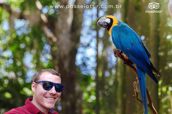 Private transport with guide to Brazil Falls + Bird Park - Two major Foz do Iguaçu sights in one private day