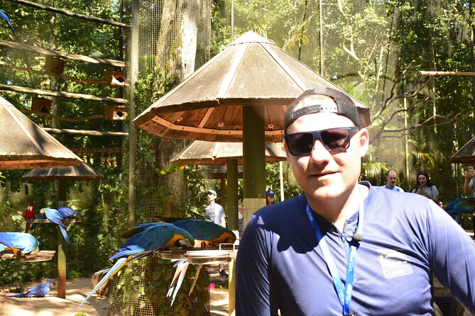 Private transport with guide to Brazil Falls + Bird Park - Parque das Aves, a closer look at Brazil’s birdlife