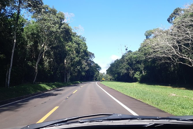 Private transport with guide to Brazil Falls + Bird Park - Who will get the most from this experience