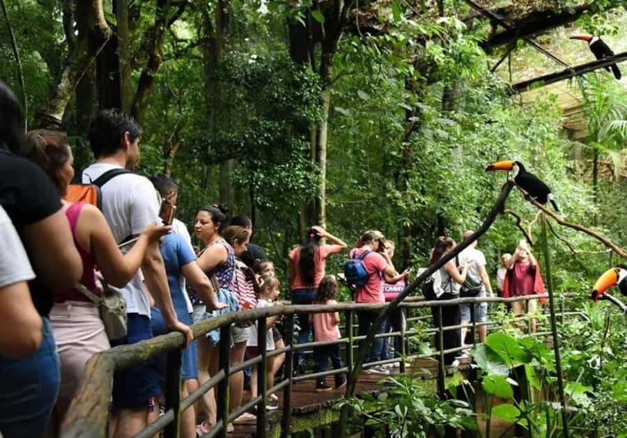 Puerto Iguazu: Iguaza Falls Brazilian Side & Bird Park Tour - The Brazilian view of Iguazu Falls