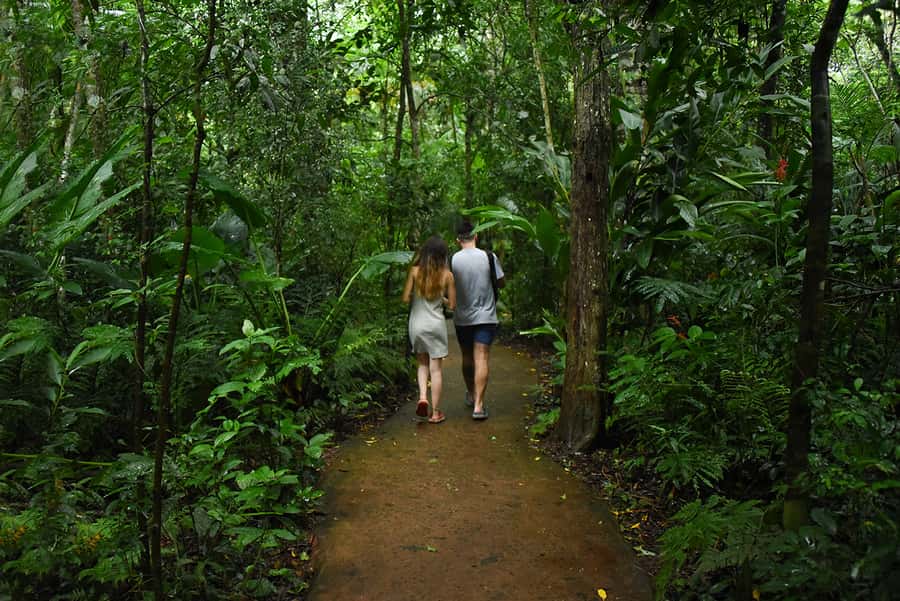 Puerto Iguazu: Iguaza Falls Brazilian Side & Bird Park Tour - Walking the falls before the birds