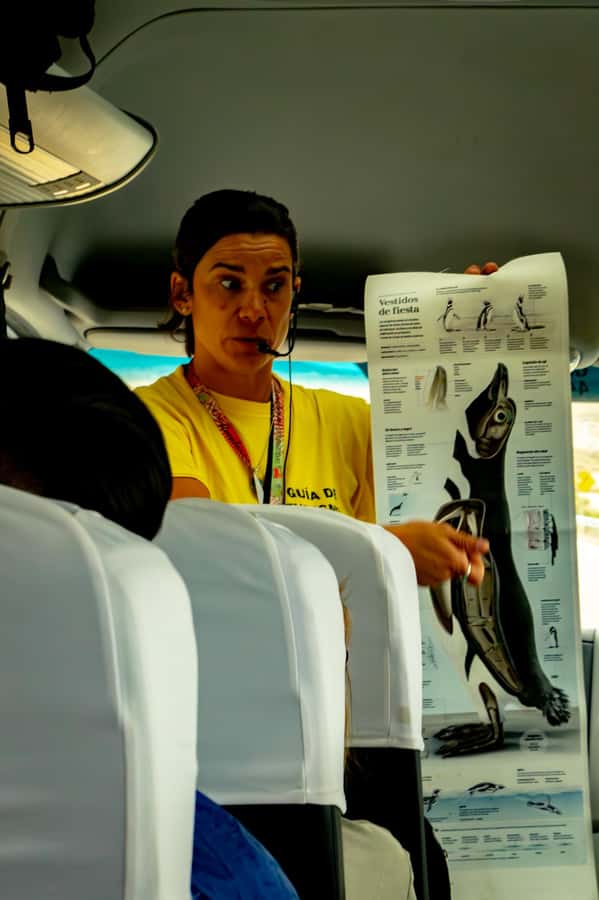 Puerto Madryn: Punta Tombo Walking Among Penguins Experience - The early pickup from Puerto Madryn