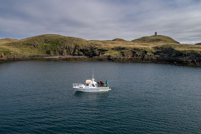 Puffin and Wildlife Boat Tour - What else you may see besides puffins
