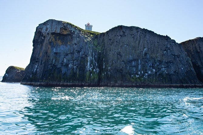 Puffin and Wildlife Boat Tour - Who should book this puffin cruise?