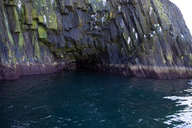 Puffin and Wildlife Boat Tour - Practical tips before you go