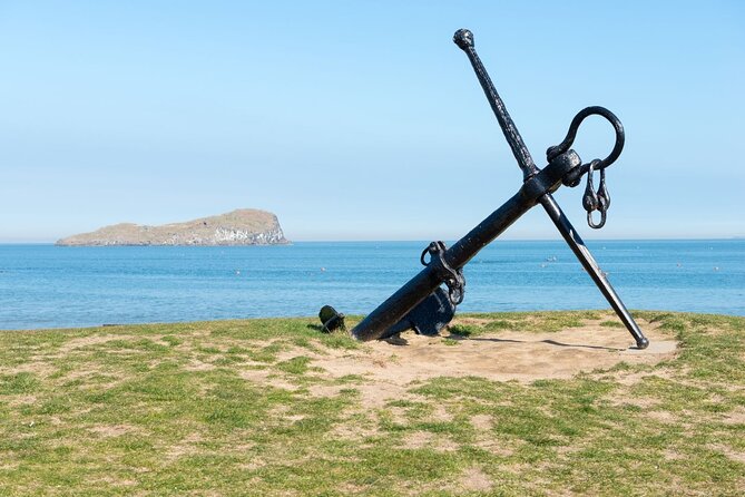Puffin Boat Trip & Tantallon Castle Day Trip from Edinburgh - Puffins, gannets, and realistic wildlife expectations