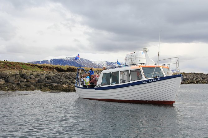 Puffin Cruise with Expert Tour Guide from Reykjavik - The guides add more than bird names