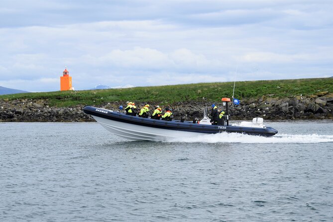 Puffin Express by RIB Speedboat from Reykjavík - Key things to know before you book