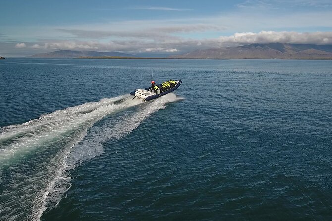 Puffin Express by RIB Speedboat from Reykjavík - Puffins only minutes from Reykjavík’s Old Harbour