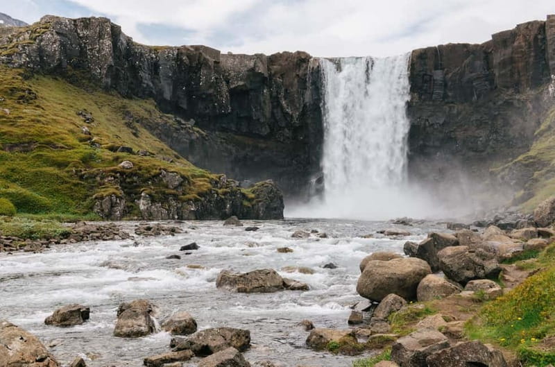 Puffin & Gufufoss Waterfall Tour from Seydisfjordur Port - Why the puffins make this trip worth the bus ride