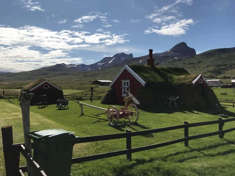 Puffin & Gufufoss Waterfall Tour from Seydisfjordur Port - Guides, buses, and the small practical details