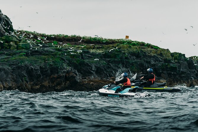 Puffin Jet ski tour in Reykjavík - What the two-hour ride is really like