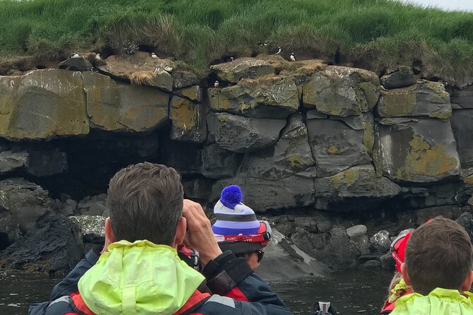 Puffin Watching Speedboat Express - The real value of the $76 price
