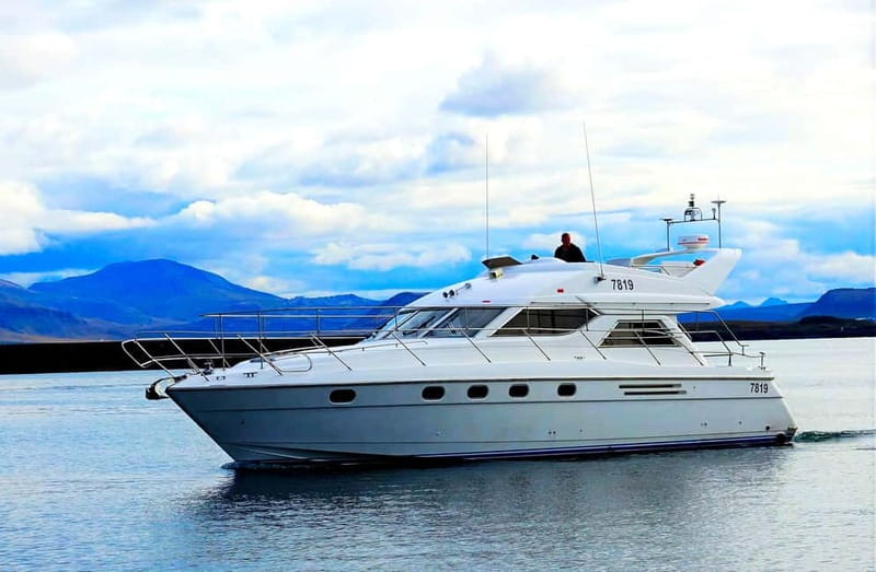 Puffin Watching Yacht Cruise from Downtown Reykjavík - Comfort, guides, and the small-group feel