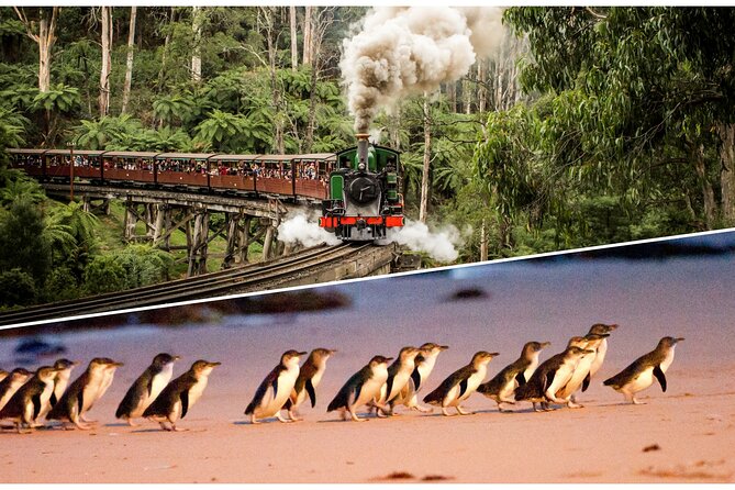 Puffing Billy and Penguin Parade Day Tour From Melbourne - Key points to know before booking