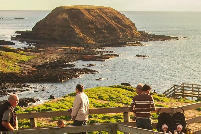 Puffing Billy And Phillip Island Penguin Parade Bus Tour - Why this tour works as a Melbourne day out