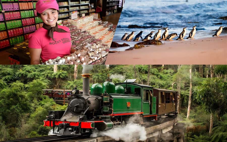 Puffing Billy Penguin Parade Winery Chocolaterie All-in-One - Key points to know before booking