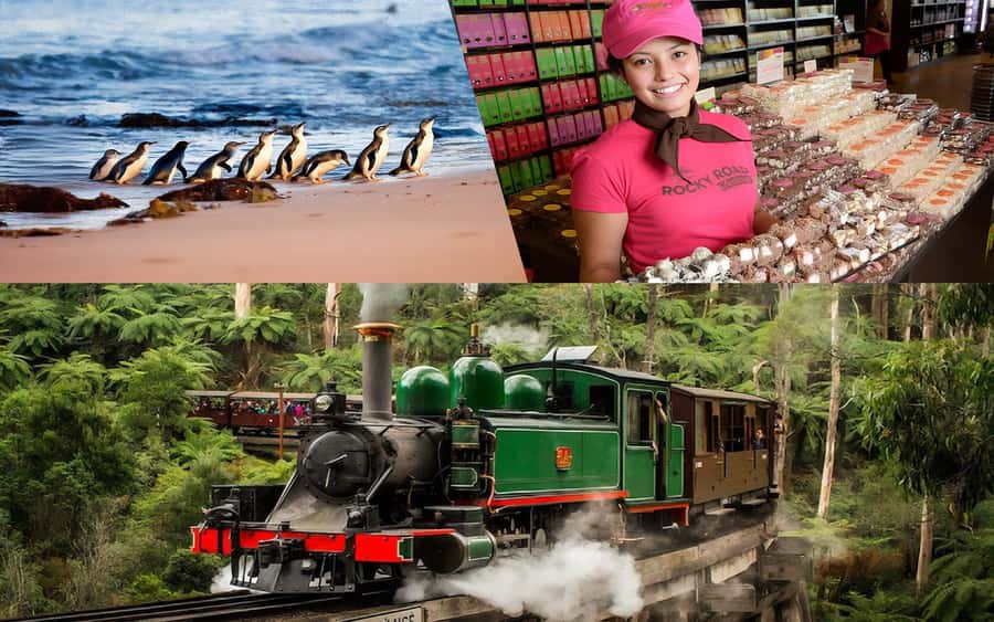 Puffing Billy Penguin Parade Winery Chocolaterie All-in-One - One very full day beyond Melbourne