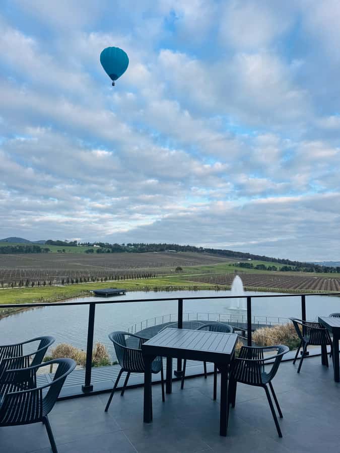 Puffing Billy Penguin Parade Winery Chocolaterie All-in-One - Who will enjoy this tour most