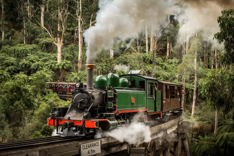 Puffing Billy Penguin Parade Winery Chocolaterie All-in-One - Yarra Valley Chocolaterie: a sweet opening