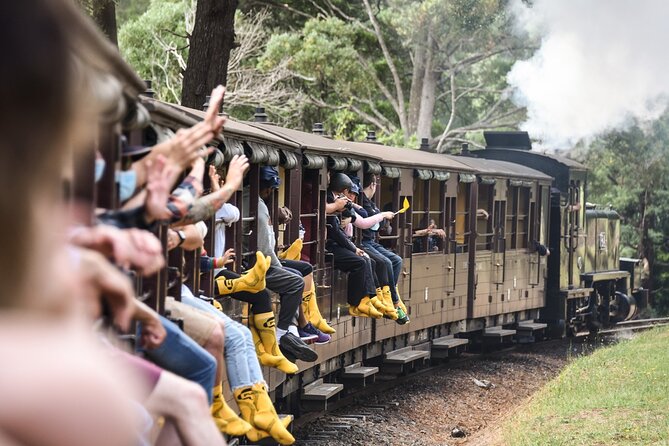 Puffing Billy Steam Train and Penguins Wildlife Tour - Key things to know before booking