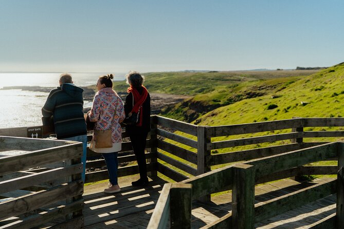 Puffing Billy Steam Train and Penguins Wildlife Tour - The Penguin Parade is the evening payoff