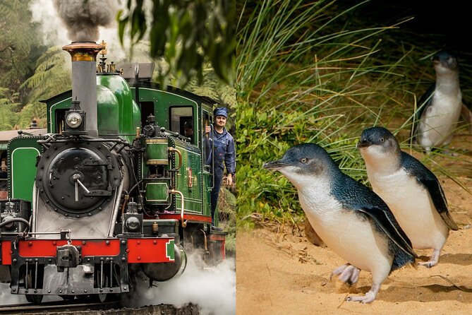 Puffing Billy Tour and Penguin Parade from Melbourne - Key points at a glance