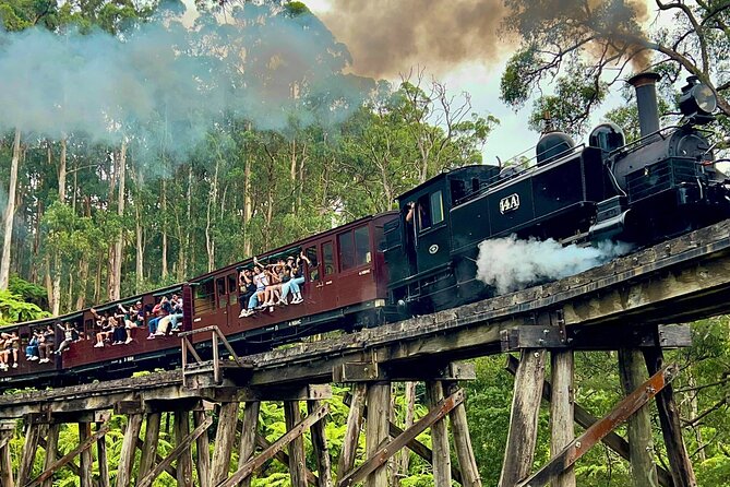 Puffing Billy Tour and Penguin Parade from Melbourne - Riding Puffing Billy through the forest