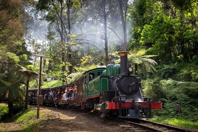Puffing Billy Tour and Penguin Parade from Melbourne - The afternoon journey to Phillip Island