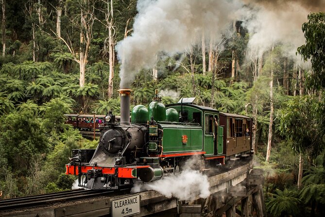 Puffing Billy Train and Phillip Island Penguin Parade Day Tour - Puffing Billy, the reason to get on the bus