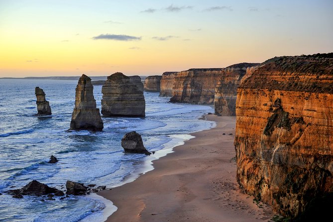 Puffing Billy Train and Phillip Island Penguin Parade Day Tour - What to pack and how to prepare