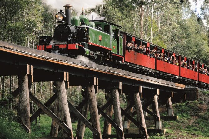 Puffing Billy Train and Phillip Island Penguin Parade Day Tour - Maru Animal Park, an optional wildlife add-on