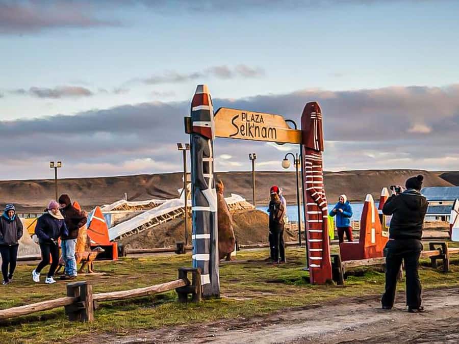 Punta Arenas: Full Day Tierra del Fuego & King Penguins - The real prize: King Penguins on Tierra del Fuego