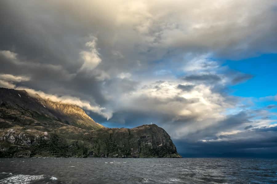 Punta Arenas: Full-Day Whales, Penguins, and Glaciers Tour - Food, hot drinks, and what to pack