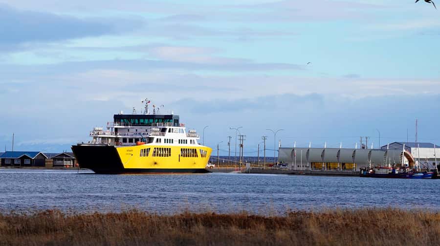 Punta Arenas: King Penguin Park and Tierra del Fuego Trip - Who should book this Tierra del Fuego day?