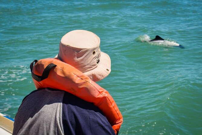 Punta Tombo Penguin Colony from Puerto Madryn with optional Toninas Watching - Puerto Rawson and the optional Toninas boat ride