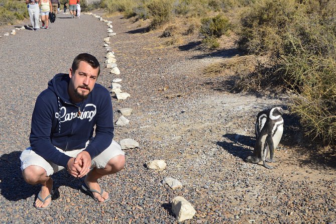 Punta Tombo Tour, the Penguin Experience - Other wildlife you may encounter