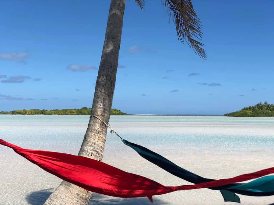 Rangiroa: Blue Lagoon Tiputa Pass Coral Garden Island Birds - Why this Rangiroa day trip is worth considering
