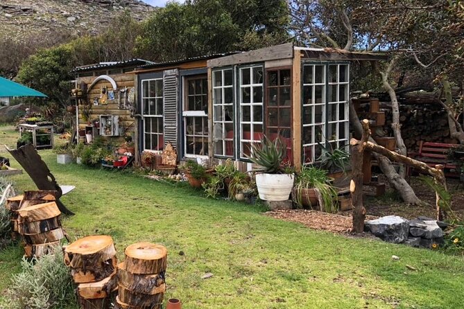 Revel in the Cape Peninsula (Penguins & Cape of Good Hope) - The Scone Shack’s small dose of odd charm