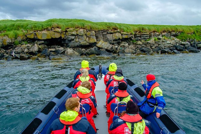 Reykjavik Premium Puffin tour | Close Up and Personal - Is $85 a fair price?