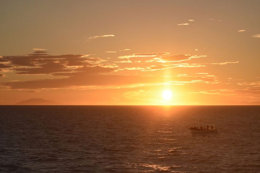 Reykjavik: Premium Whale and Puffin Watching Evening Tour - Why the evening departure works so well