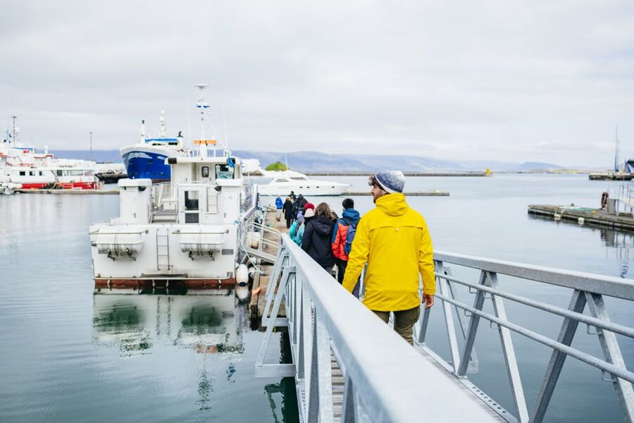 Reykjavik: Puffin Watching Boat Tour - Should You Book the Puffin Express?