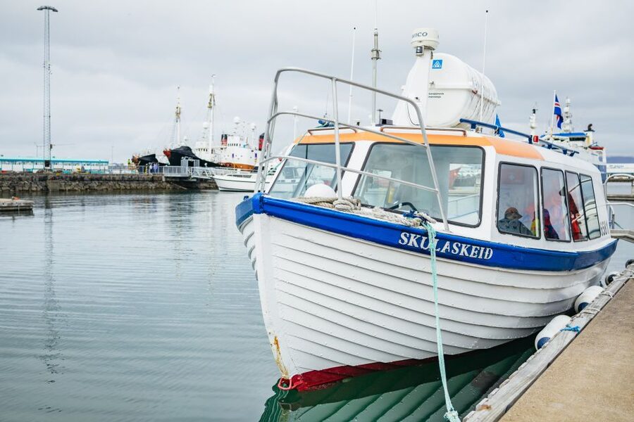 Reykjavik: Puffin Watching Boat Tour - Who Should Book This Puffin Trip?