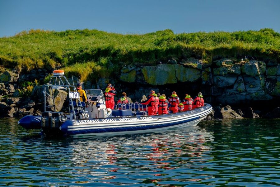 Reykjavik: Puffin Watching Tour - Finding puffins on the rocky islands
