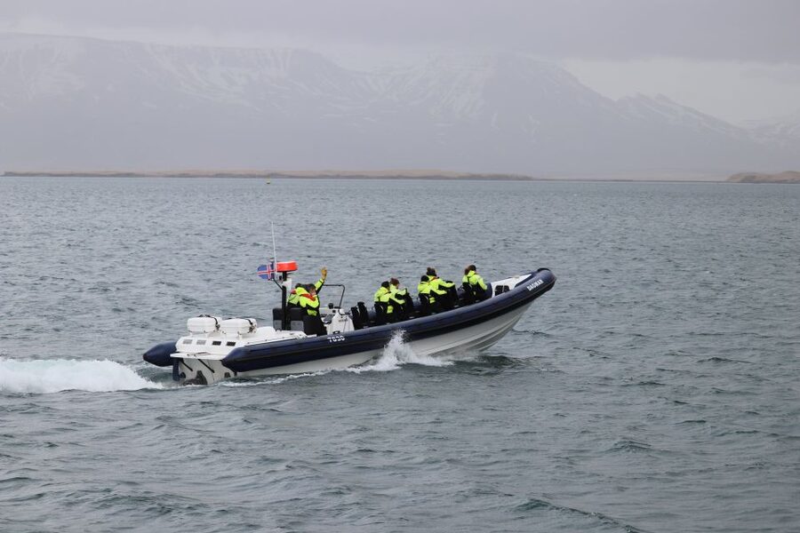 Reykjavik: Puffin Watching Tour by RIB Speedboat - A guide who turns bird watching into a lesson