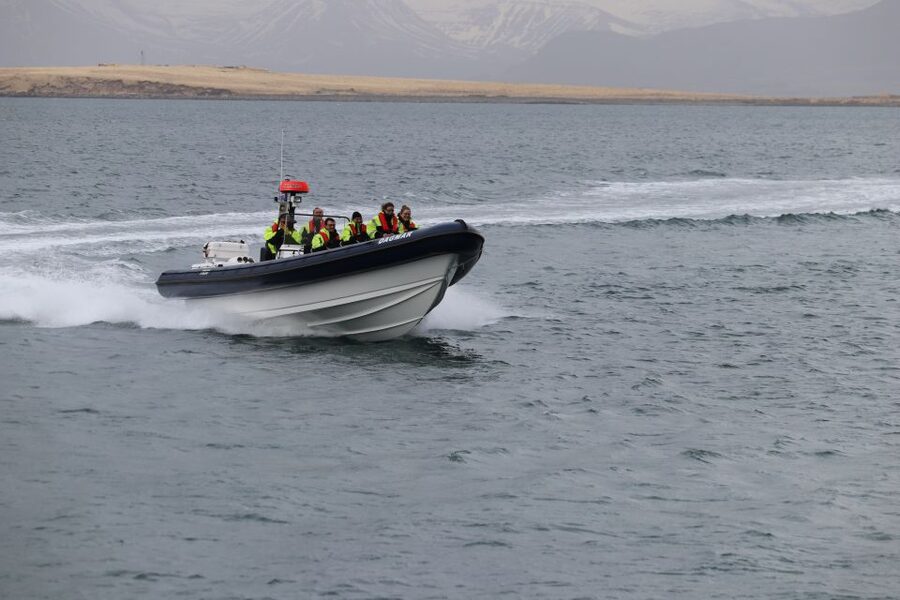 Reykjavik: Puffin Watching Tour by RIB Speedboat - Final call: book it for speed, scenery, and a real puffin sighting
