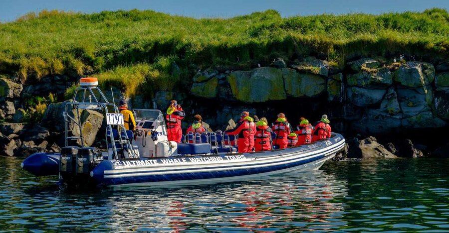 Reykjavik: Puffin Watching Tour - Reaching the puffin colonies near Lundey