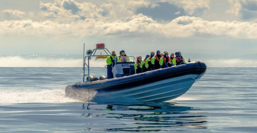 Reykjavík: RIB Speed-Boat Puffin Watching Tour - What the guide adds to the hour