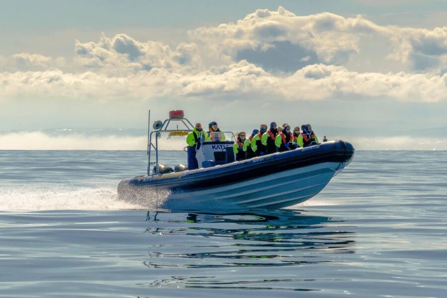 Reykjavík: RIB Speed-Boat Puffin Watching Tour - Why the RIB format matters